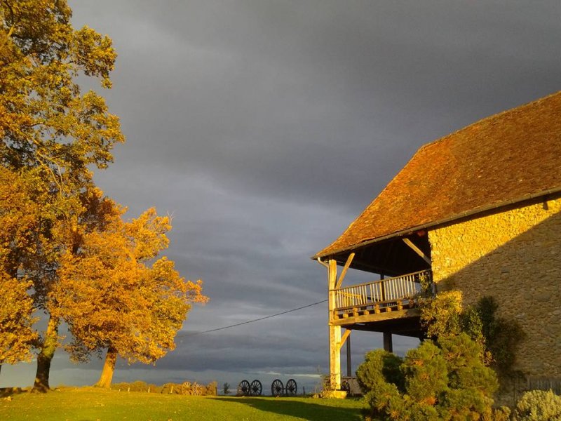 Domaine de Tilh_64300 LOUBIENG_21